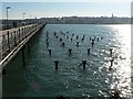 SZ5993 : Ryde: posts alongside the pier by Chris Downer