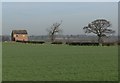 Derelict house near Sheepy Magna