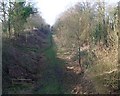 Brotheridge Green Railway Line Nature Reserve