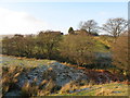 Pastures below Crowberry Hall