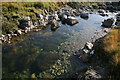 NM8755 : Glengalmadale river pool by Peter Bond
