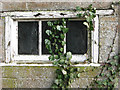 An old window and ivy