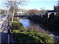 Footbridge Over the River Irwell