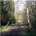 Course of old Railway, near Claregate, Wolverhampton