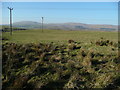 View over the Nith valley