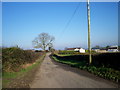J0339 : Ballyreagh Road, Poyntzpass by P Flannagan