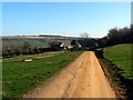 Farm track to Little Farmcote, near Winchcombe