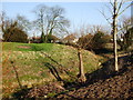 Moat  around the Manor House