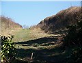 Bridleway from Gussage All Saints