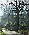 2008 : Steep hill near Alcombe