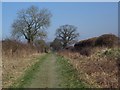 Bridleway near Gussage All Saints