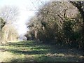 Bridleway, Brockington Down