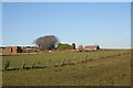 Ruined farm buildings near Ladyswell