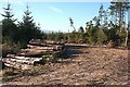 Log Piles by the Forest Road