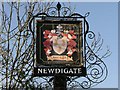 Newdigate village sign