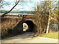 Railway bridge viewed from Harold Court Woods