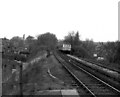 Looking North from Bowker Vale