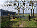 Trees and barn, East Barnby