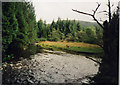 NM6256 : Barr River and Puppy by Peter Bond