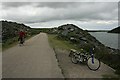 Camel Trail towards Padstow