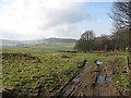 Farmland behind Rossie Ochill