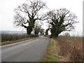 Dunston Road View