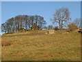 Pastures below Stone Hall