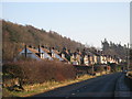 Houses on Station Road (2)