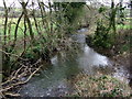 Cartlett Brook at New Bridge