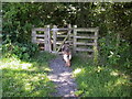 Wishing Gate near Walmsley Bridge