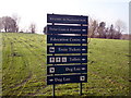 Information Board, Peatlands Park