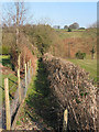 Footpath near Shapridge