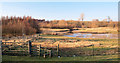 Denaby Ings nature reserve (Old Denaby Wetlands)