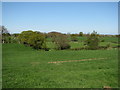 View north-east from Birch Hill Caravan Club CL