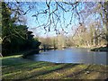 Pond at Little Durnford Manor