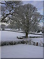 Rural snow scene at Birch Hill Farm, Ellesmere, Shropshire