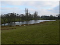 Lake near Plas Newydd Farm, Pontblyddyn