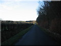 Lane near Daffiestonrigg Wood