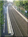 Marino Railway Station