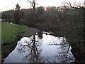 Kirtle Water from Palmersgill Bridge