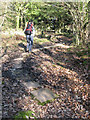 Path near the Church