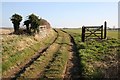 Bridleway at Low Toynton