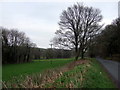 Syfynwy valley near Stepaside Bridge