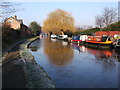 Crisp, Cold, Christleton Canal