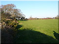 SY8594 : Woodbury Hill Fair field by Nigel Mykura