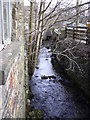 Stream at Albert Mill