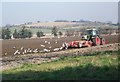 Following the plough, Stoke Farthing