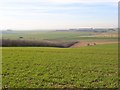 Farmland, Letcombe Bassett