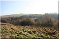 Heasandford near Walshaw Clough