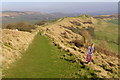 SY8979 : View northeast along the ridge from Tyneham Cap by Jim Champion